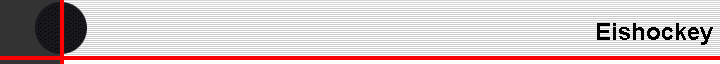 Eishockey