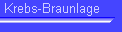 Krebs-Braunlage